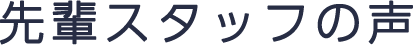 先輩スタッフの声